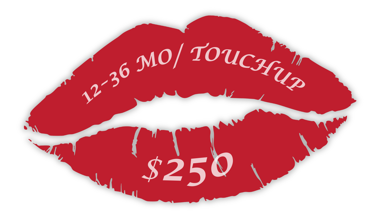 Pricing For PMU Lips Touch Up Appointment. Grand Junction, Colorado.