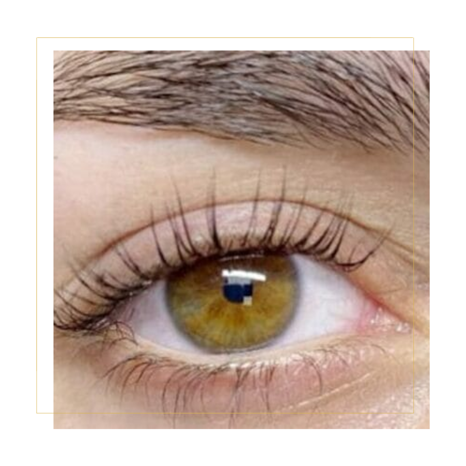 Lash Lift & Tint In Grand Junction, Colorado.