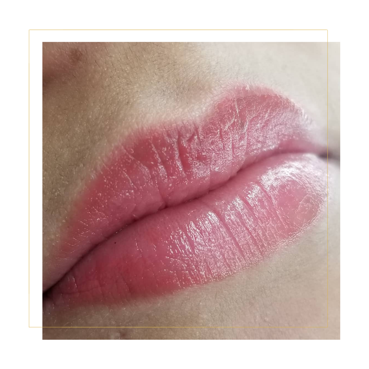 PMU Lips In Grand Junction, CO